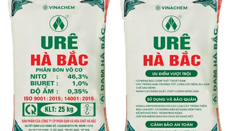 Tái cơ cấu khoản nợ, Đạm Hà Bắc (DHB) báo lãi hơn 1.649 tỷ đồng trong quý IV/2023