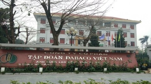 Nhờ doanh thu tài chính, Dabaco Việt Nam (DBC) thoát lỗ quý IV/2023 