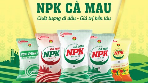 Dù 'hụt hơi' trong quý IV/2024, Đạm Cà Mau (DCM) vẫn báo lãi sau thuế cả năm tăng 20%