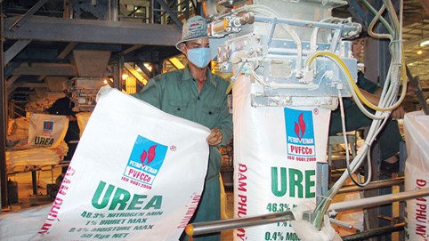 Giá phân bón lao dốc, lợi nhuận sau thuế của Đạm Phú Mỹ (DPM) 'bốc hơi' hơn 90% trong năm 2023