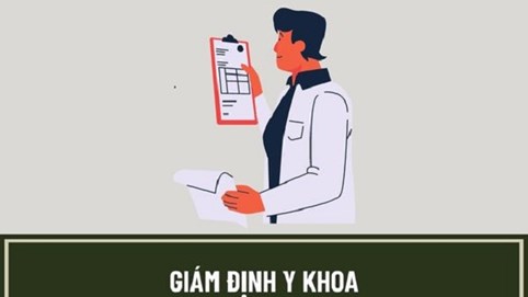 Quy định chi tiết về thành phần, thẩm quyền của Hội đồng Giám định y khoa các cấp