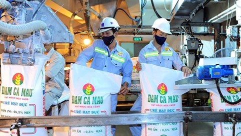 Đạm Cà Mau (DCM) đặt mục tiêu lãi 2023 ở mức 1.383 tỷ đồng, chỉ bằng 1/3 thực hiện năm trước