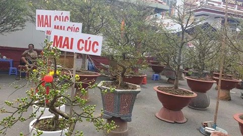 Dòng tiền đang...mỏi