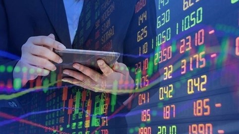 Công ty Vật liệu xây dựng và trang trí nội thất TP HCM (CMD) bị phạt 85 triệu đồng vì vi phạm công bố thông tin