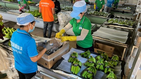 Hoàng Anh Gia Lai (HAGL) đạt gần 100 tỷ đồng lợi nhuận tháng 1/2023