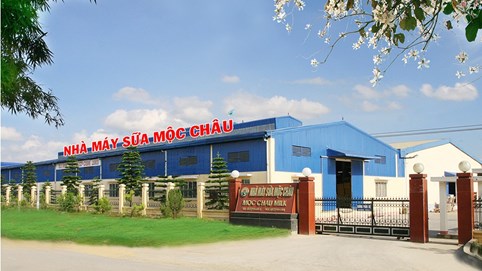 Trước thềm chuyển sàn HOSE, Mộc Châu Milk (MCM) báo lãi năm 2023 đạt 374 tỷ đồng, cao nhất kể từ khi niêm yết