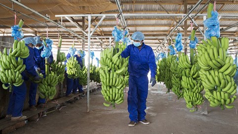 Vì đâu HAGL bất ngờ có khoản lỗ lũy kế 5.000 tỷ đồng từ “quá khứ hiện về”?