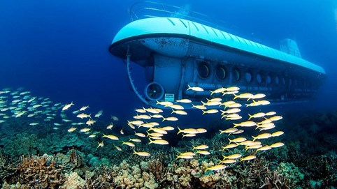 Quy định về quản lý tàu lặn hoạt động du lịch trong vùng nước cảng biển Việt Nam