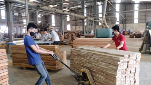 Gỗ Thuận An (GTA) đưa mục tiêu kinh doanh lãi năm 2023 giảm 18% so với năm trước