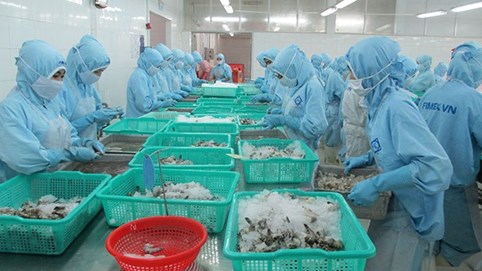 Doanh số tháng 2 của Thực phẩm Sao Ta (FMC) giảm 16% so với cùng kỳ