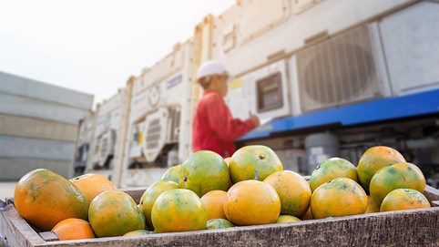 C&W: Đông Nam Á từng bước trở thành ngôi sao trong mạng lưới cung ứng