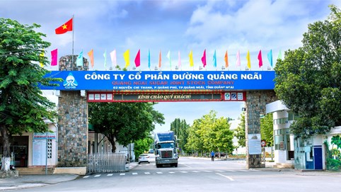 Cục thuế tỉnh Quảng Ngãi ra quyết định thanh tra tại Công ty cổ phần Đường Quảng Ngãi