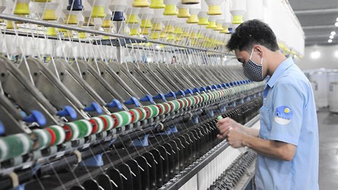 Damsan (ADS) muốn chuyển đổi lô trái phiếu 100 tỷ đồng thành cổ phiếu