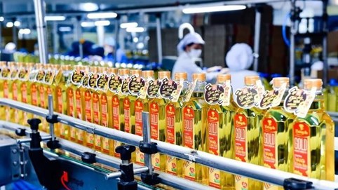 Vocarimex (VOC) tạm hoãn chia cổ tức đặc biệt bằng tiền tỷ lệ 100%