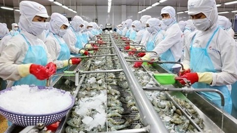 Thực phẩm Sao Ta lên kế hoạch lãi tăng 22% trong năm 2023
