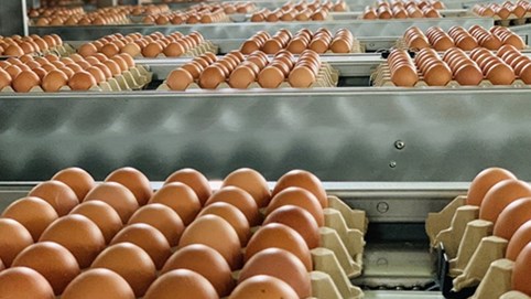 'Vượt mặt' Ba Huân, Tafa Việt Nam, Hòa Phát... doanh nghiệp nào đang dẫn đầu thị trường trứng gia cầm Việt?