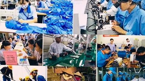 Những hành vi bị nghiêm cấm trong lĩnh vực việc làm