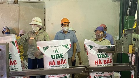 Đạm Hà Bắc (DHB) hạ mục tiêu lợi nhuận năm 2023 giảm 61%