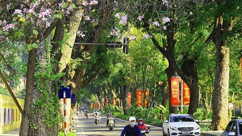 Thời tiết tuần này: Bắc Bộ nắng đẹp, cuối tuần hạ nhiệt chờ chuyển lạnh