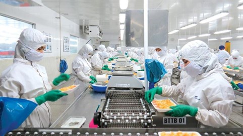 Lãi sau thuế của Thực phẩm Sao Ta (FMC) tăng 18% trong quý I/2024