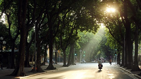 Thời tiết tuần này: Miền Bắc mưa đến giữa tuần, cuối tuần hửng nắng