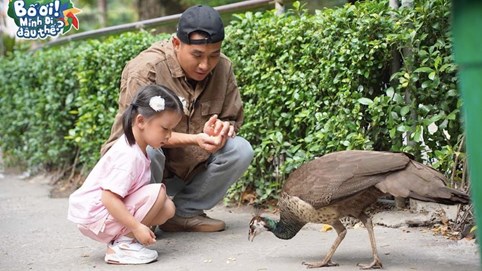Bố ơi, mình đi đâu thế? 2025 - Hành trình tập sự 1: Hỏi, khóc, cười - các cặp bố con 'triệu view' làm khuynh đảo Thảo Cầm Viên Sài Gòn
