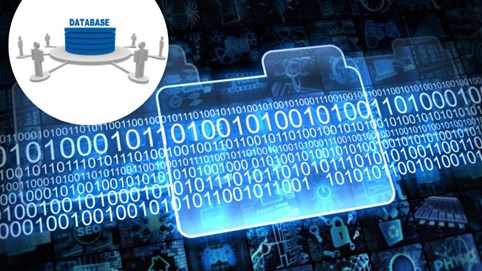 Quy chế cập nhật, khai thác dữ liệu trên cơ sở dữ liệu quốc gia về cán bộ, công chức, viên chức