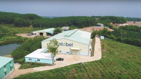 Mekong Capital và Dragon Capital 