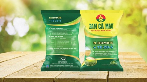 Đạm Cà Mau (DCM) đặt mục tiêu lãi 2025 đạt 774 tỷ đồng, muốn đầu tư nhà máy sản xuất phân bón hữu cơ vi sinh