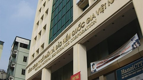 Dù lãi ròng quý I/2025 giảm một nửa, Vinare (VNR) dự chi hơn 182 tỷ đồng trả cổ tức