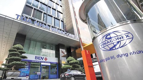 Vinaconex phát hành 2.200 tỷ đồng trái phiếu, dồn tiền cho dự án Cát Bà Amatina
