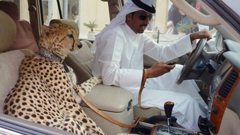 Trước giờ tuyển Việt Nam đối đầu với UAE giành vé vào vòng loại World Cup 2022, đây là sự thật không thể ngờ ở đất nước 