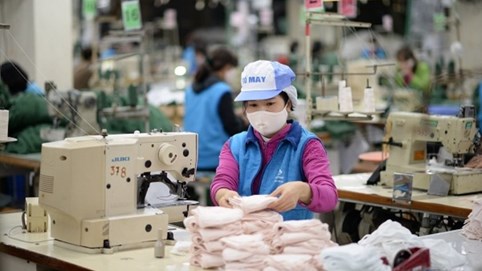 Cổ đông của Vinatex (VGT) sắp được nhận 300 tỷ đồng tiền trả cổ tức năm 2022