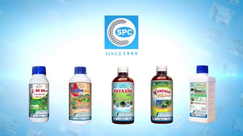 Khai sai thuế, dùng hóa đơn chứng từ không hợp pháp, Công ty Bảo vệ Thực vật Sài Gòn (SPC) bị phạt