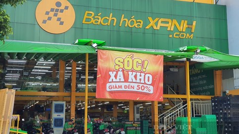 Bách Hóa Xanh đạt mốc doanh thu 2 tỷ đồng mỗi cửa hàng