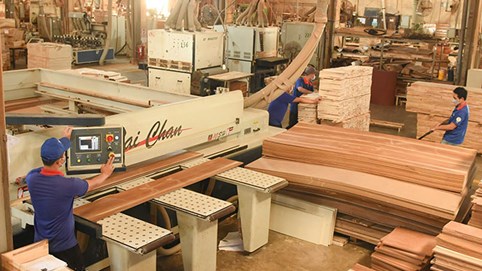 Gỗ Thuận An (GTA) báo lãi 6 tháng đầu năm đạt 3,2 tỷ đồng, mới hoàn thành 30% mục tiêu đề ra
