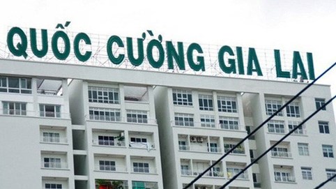 Quốc Cường Gia Lai giải thể hai công ty liên kết, có công ty chưa đầy 