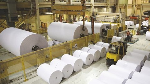 Giấy Việt Trì (GVT) sắp trả cổ tức đợt 2/2024 tỷ lệ 33% bằng tiền mặt