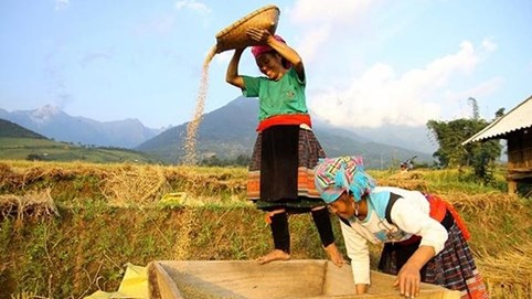 Thay đổi phân bổ vốn ngân sách thực hiện Chương trình MTQG phát triển KTXH vùng đồng bằng thiểu số, miền núi