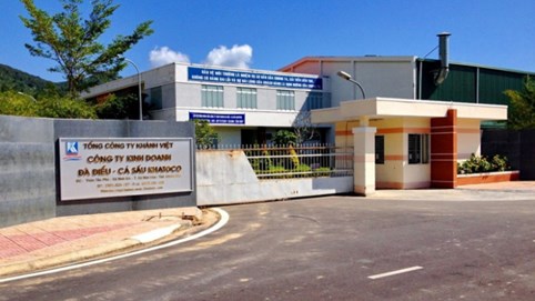 Công ty Khánh Việt (Khatoco) doanh thu cả 7.000 - 9.000 tỷ mỗi năm, sở hữu đàn đà điểu lớn tại Việt Nam