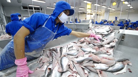 Thủy sản Nam Việt (ANV) phát hành cổ phiếu thưởng, tăng vốn điều lệ gấp đôi lên hơn 2.666 tỷ đồng