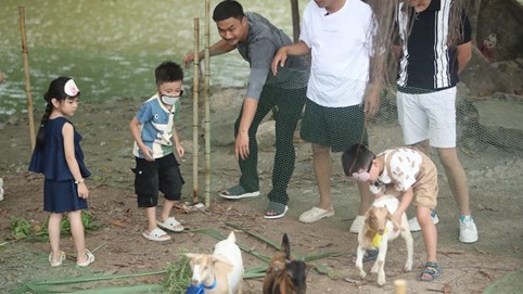 Bố ơi mình đi đâu thế? 2025 - tập 8: Cười “vỡ bụng” cảnh Duy Hưng, Trung Ruồi, Neko Lê hào hứng bịt mắt bắt dê nhưng lại vồ phải nhau