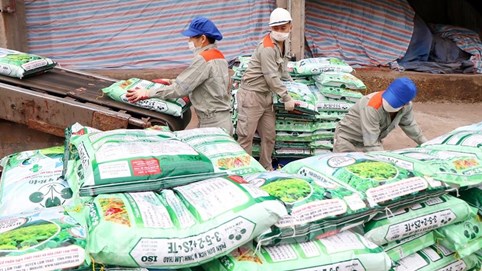 Quý II/2024, Supe phốt phát và hoá chất Lâm Thao (LAS) báo lãi sau thuế tăng gấp đôi cùng kỳ