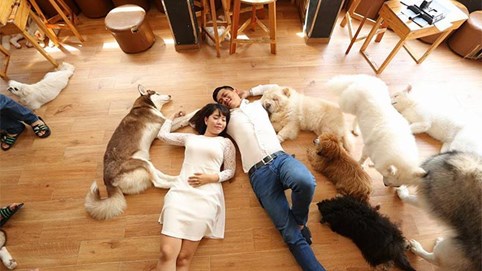 Thú cưng ở... chung cư!