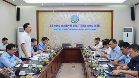Khai thác, phát huy giá trị hai bên bờ sông Hồng