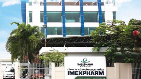 Lãi quý II/2024 của Dược phẩm Imexpharm (IMP) đi lùi 17%