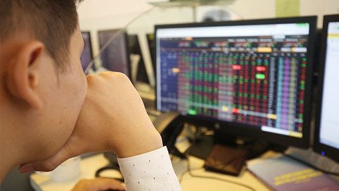 Nhiều cổ phiếu trên sàn chứng khoán xác lập đáy mới