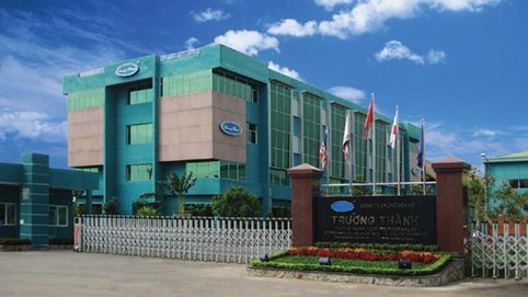 Doanh thu giảm mạnh, Gỗ Trường Thành (TTF) báo lỗ 30,2 tỷ đồng trong quý II/2023 