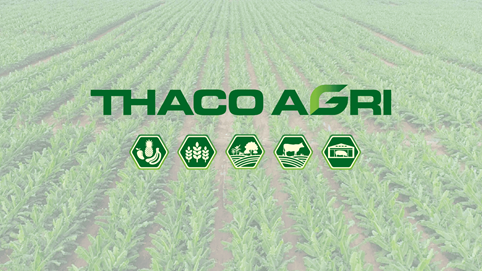 HAGL Agrico (HNG) bổ nhiệm Phó Tổng giám đốc mới