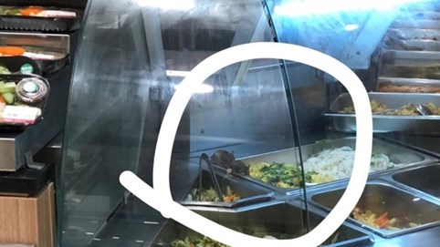 Chuột bò tại quầy thức ăn khiến dân mạng 'giật mình', Aeon Mall nói gì?